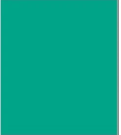 Antifouling International Trilux 33 matrice dure 2.5L Vert