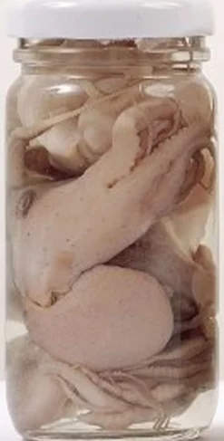 Appât en conserve naturelle Grauvell Poulpes
