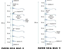 Bas de ligne grand fond Ragot Deep Sea Rig