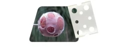Boilies Protec Prowess 27 mm X 10