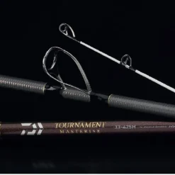 Canne à pêche Daiwa Tournament Masterise - 4.25M 100-225gr