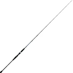 Canne à pêche Daïwa Saltiga Deep 55