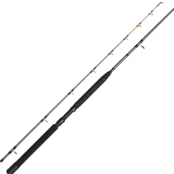 Canne bateau Dam Salmonizer Trolling & Planer
