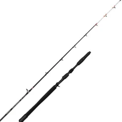 Canne casting Penn Brigade Dentex