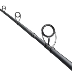 Canne Casting Shimano Salty Advance