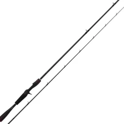 Canne casting Shimano Zodias