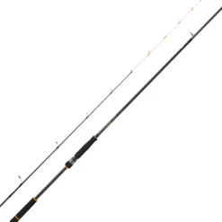 Canne Daiwa BG Tenya