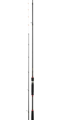 Canne Daiwa Legalis Tenya