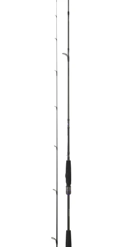 Canne Daiwa Prorex AGS Spinning