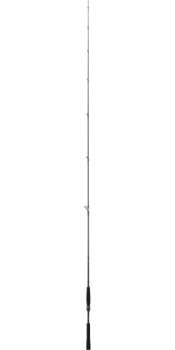 Canne Daiwa Prorex AGS Spinning