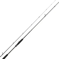 Canne Daiwa Prorex AGS Spinning