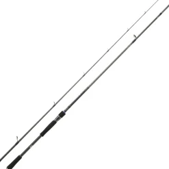 Canne Daiwa Prorex XR Spinning