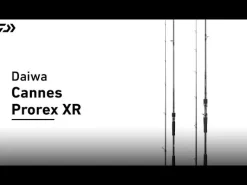 Canne Daiwa Prorex XR Spinning