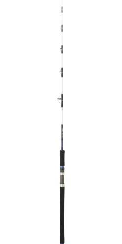 Canne Daiwa Saltist OFF Shore