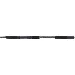 Canne jig Mitchell Tanager SW Jig