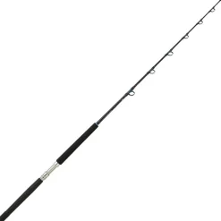Canne Traine Daiwa Sealine X Trolling