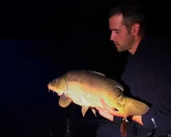 Carpes en grands lacs : St Cassien - Salagou - Cabanac (2 DVD) avec Nicolas Migeon