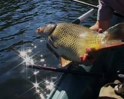 Carpes en grands lacs : St Cassien - Salagou - Cabanac (2 DVD) avec Nicolas Migeon