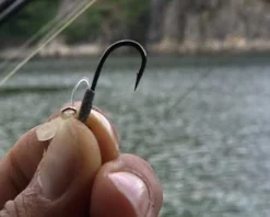 Carpes en grands lacs : St Cassien - Salagou - Cabanac (2 DVD) avec Nicolas Migeon