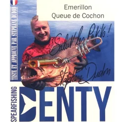 Emerillon queue de cochon Denty Spearfishing