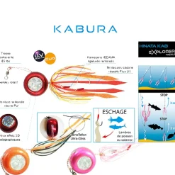 Kabura Explorer Tackle Hinata Kab
