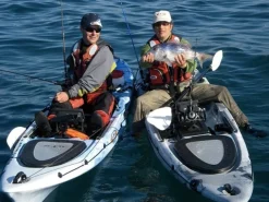 Kayak de peche RTM Abaco 420 Standard | Wasp