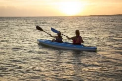 Kayak Pelican Alliance 136T