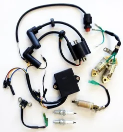 Kit allumage pour moteur Parsun F5