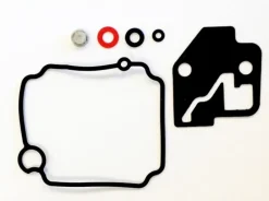 Kit carburation pour moteur Parsun F6 bi-cylindre