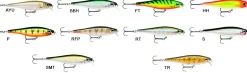 Leurre Rapala BX Minnow 10 cm 12 gr