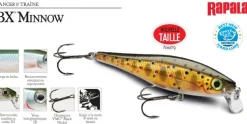 Leurre Rapala BX Minnow 10 cm 12 gr
