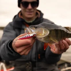 Leurre Rapala Floater Elite - 8.5cm 6.5 gr