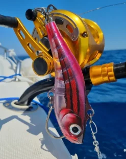 Leurre Rapala Sarda - 18cm 200 gr