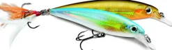 Leurre Rapala X-Rap 10 cm 13 gr