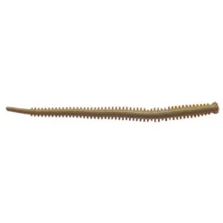 Leurre Souple Berkley Gulp! Isome Futomi 10 cm