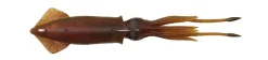 Leurre souple Calamar Savage gear 3D TPE Swim Squid