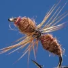 Lot de 2 fourmis Brown