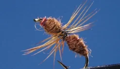 Lot de 2 fourmis Brown