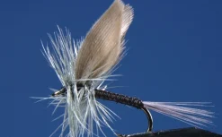Lot de 2 mouches Ephémères Blue Quill