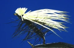 Lot de 2 Tricoptères Elk Hair