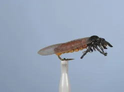 Mouche Terrestre JMC Grande Perle H10