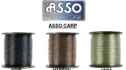 Nylon Asso Carp Vert 1000 m