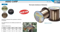 Nylon Asso Carp Vert 1000 m