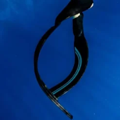 Palme apnée Molchanovs Pro Bifins 3 Carbon Noir - Médium