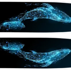 Palmes Leaderfins Carbone Baleine