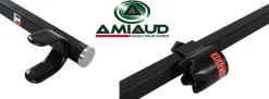 Pique Amiaud Spéciale Silure