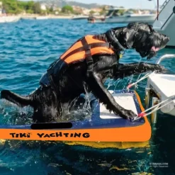 Plateforme gonflable bateau Tiki Factory rampe pour chien