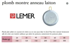 Plombs montre anneau laiton vrac