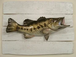 Sculpture Black Bass sur Cadre