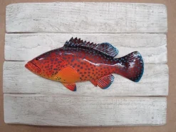 Sculpture Mérou de Corail sur Cadre